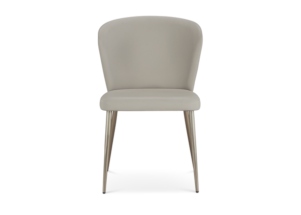Dining chair AJW2377Y-1  （PU29#）+ Metal