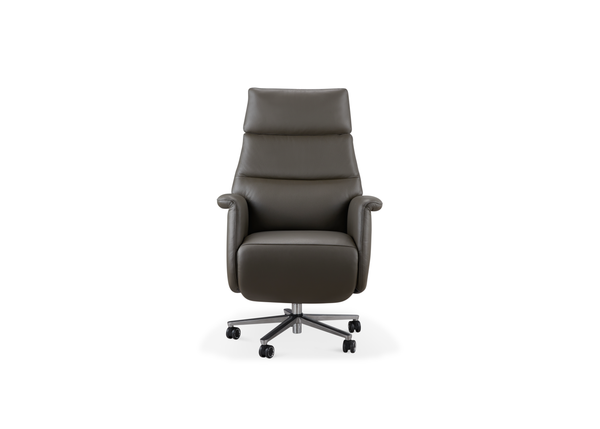 Single chair electric motor AW2549C