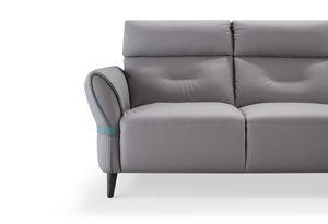 Stationary Sofa ZY2672