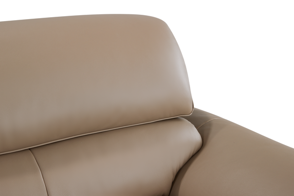 Stationary Sofa ZY6107H