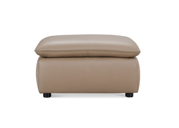 Stationary Sofa ZY6107H