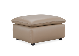 Stationary Sofa ZY6107H