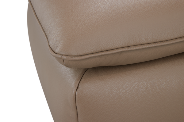 Stationary Sofa ZY6107H